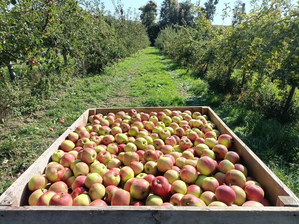 Ferme Le Cèdre